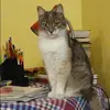 Отзыв от Катюша Минина